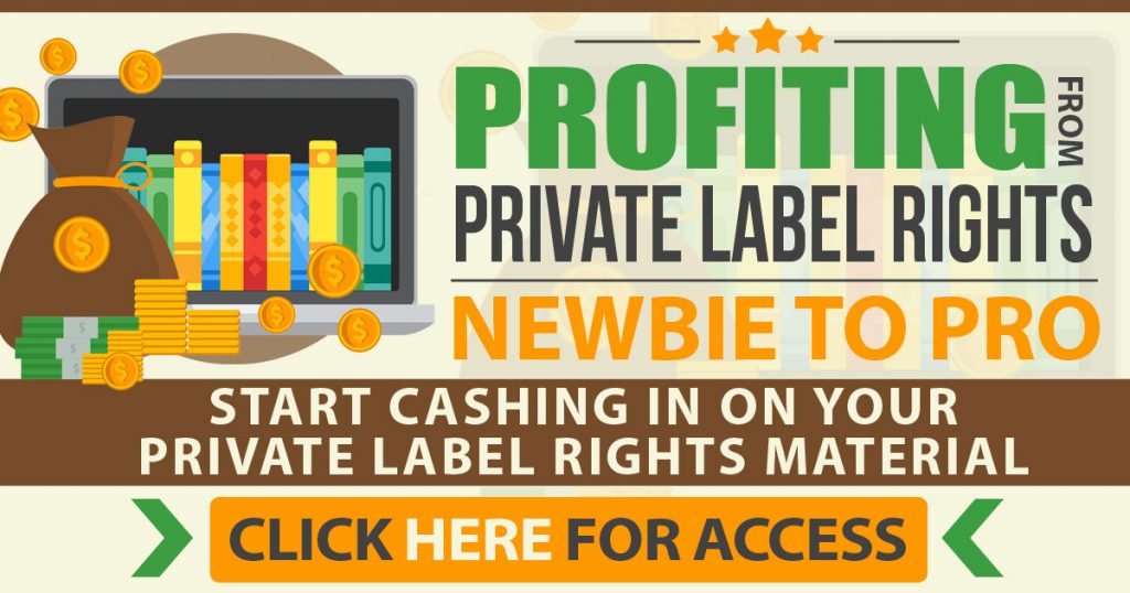 Profiting from Private Label Rights Newbie to Pro