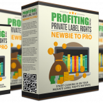 Profiting from PLR Rights Newbie to Pro