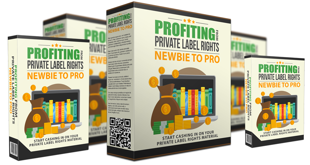 Profiting from PLR Rights Newbie to Pro